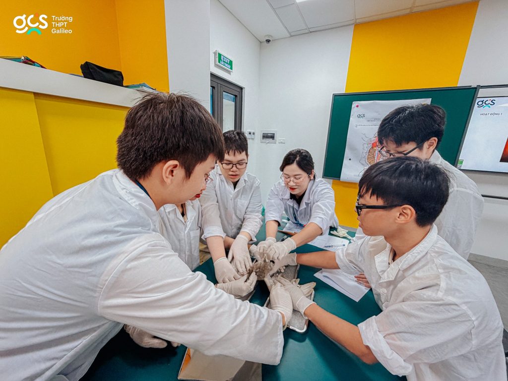 Tiết sinh học tại GCS: Khi lý thuyết được “chạm” bằng đôi tay